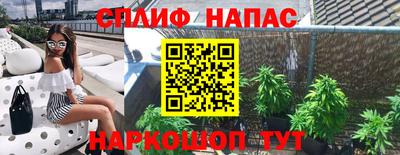 сатива Жуковский