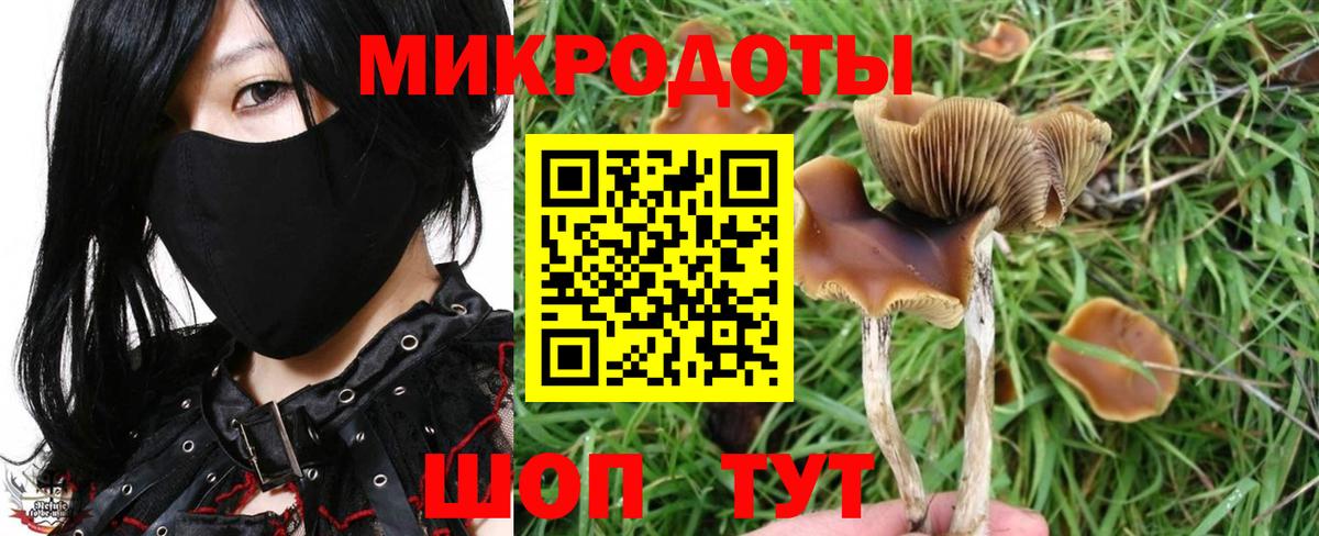 Ливны  Псилоцибиновые грибы прущие грибы  Вход с VPN 